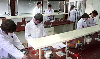 380x225_chemmed
