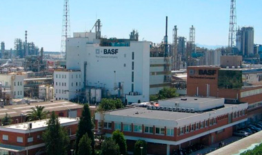 basf01_1