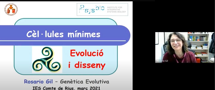 cellules-minimes-02