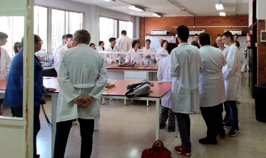 coodecendencia01