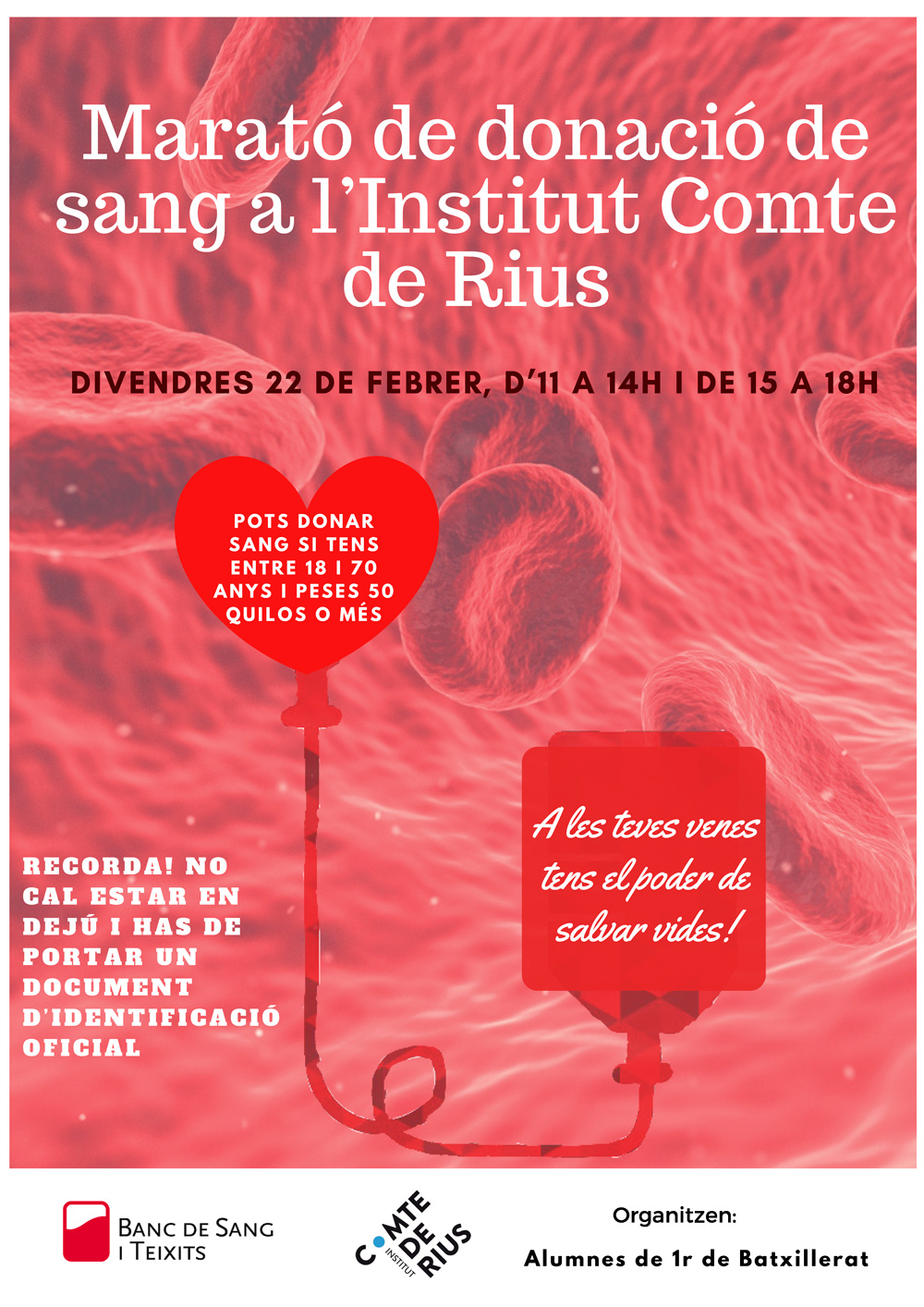 dona-sang-19-02