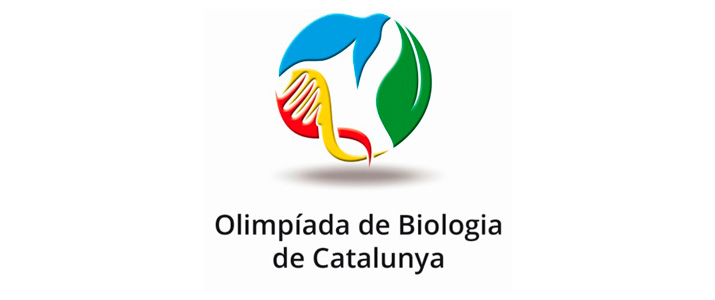 olimpiadas-02