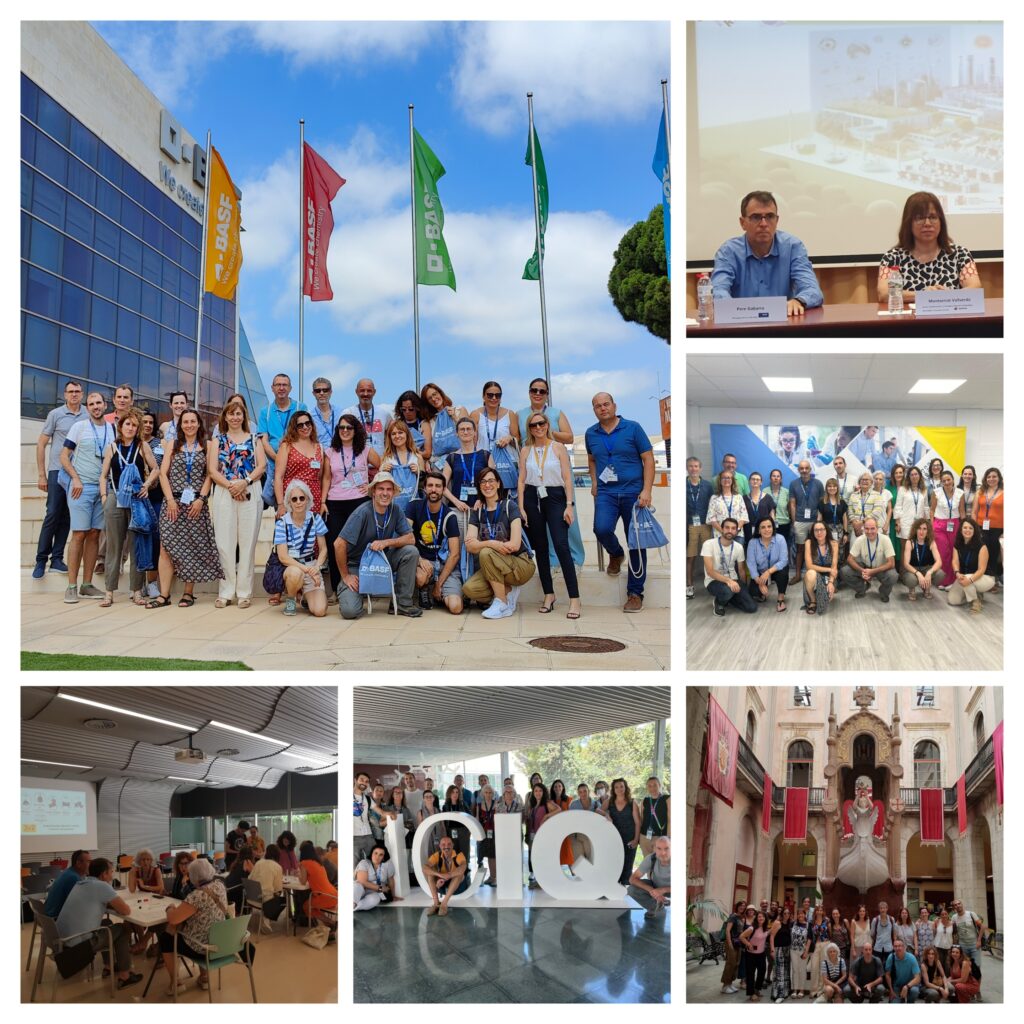 collage-programa-excelencia-quimica-18-7-2024